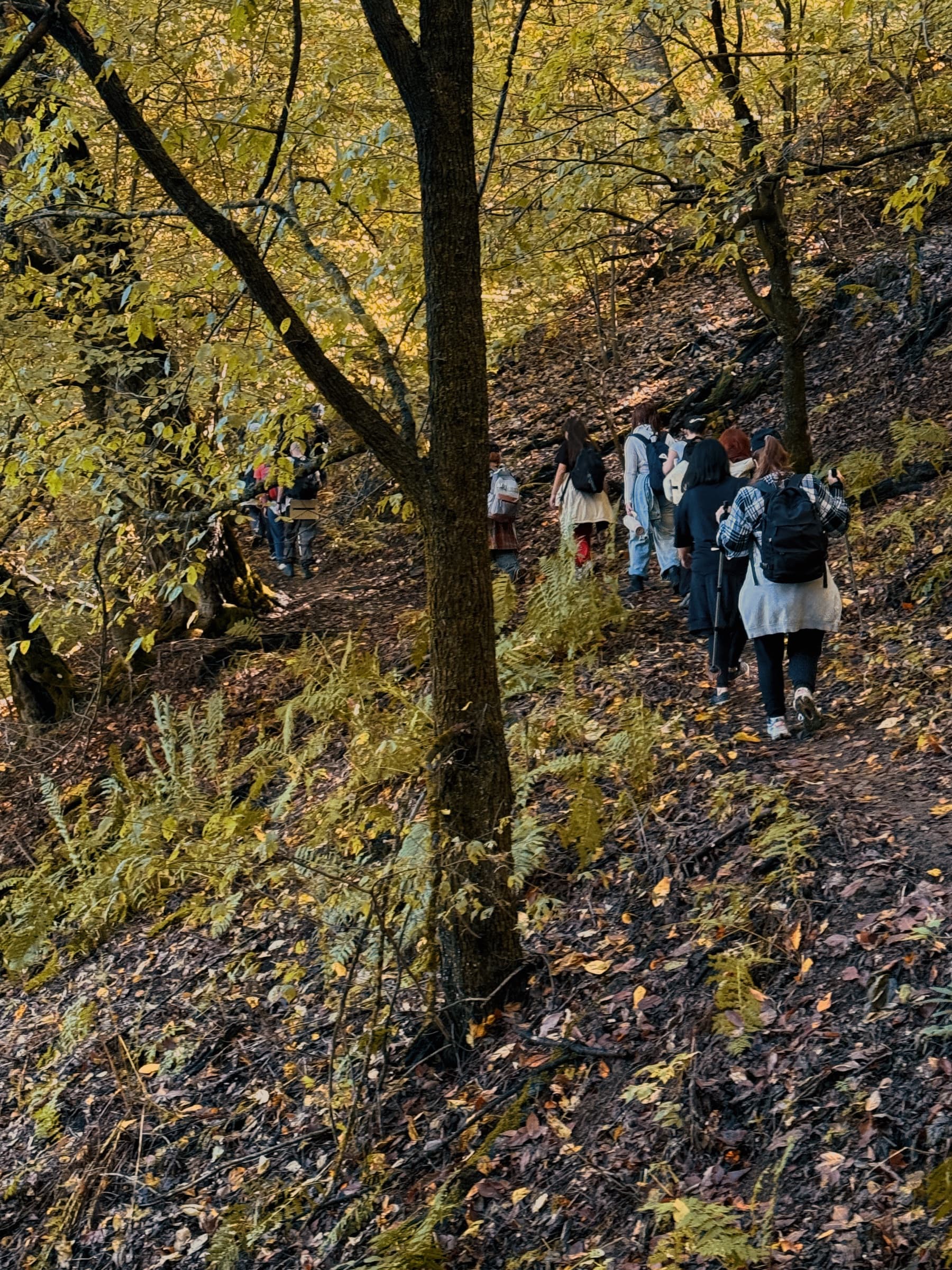Դիլիջանից Պարզ լիճ