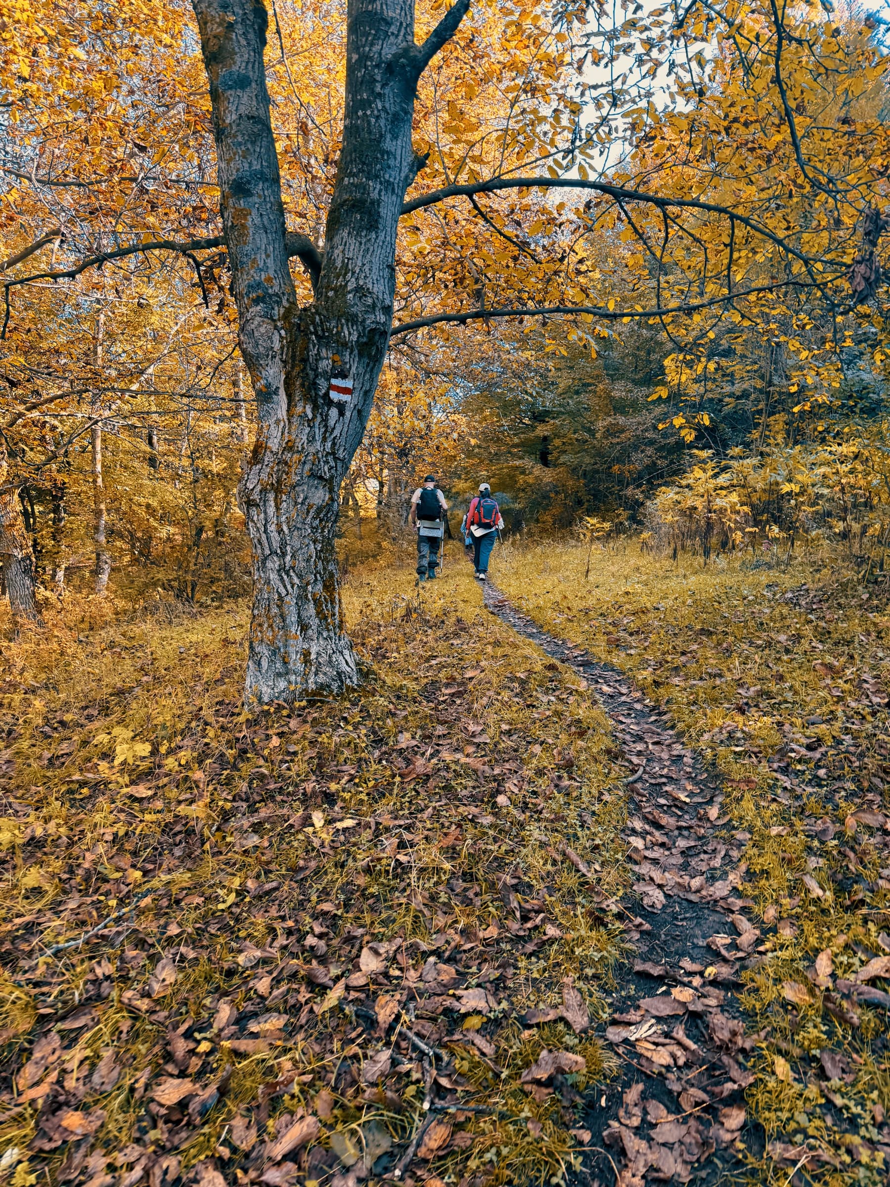 Դիլիջանից Պարզ լիճ