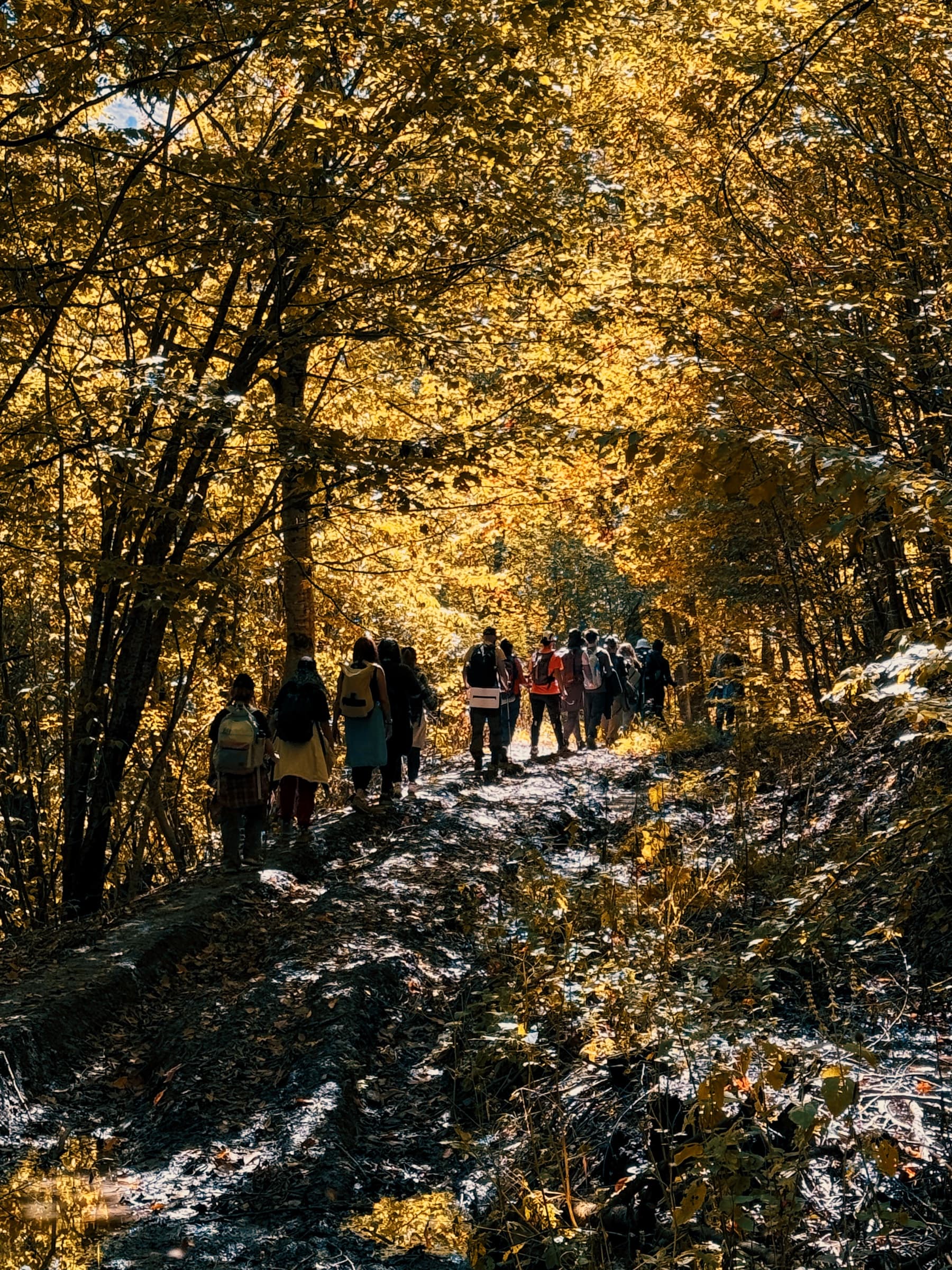 Դիլիջանից Պարզ լիճ