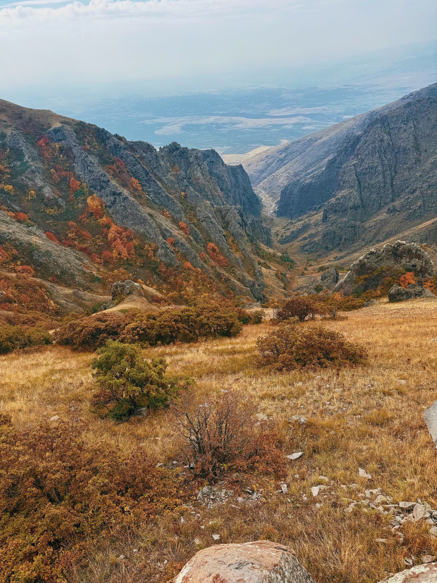 Արայի լեռ